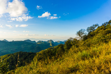 Fototapeta premium Mountain green tree with sunny cloud sky sun light