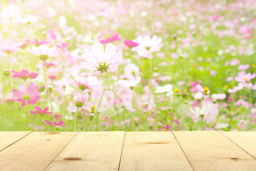 wooden table and cosmos flower