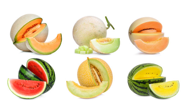 collection of melon isolated on white background