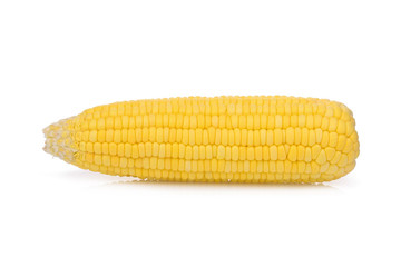 single raw corn isolated on white background