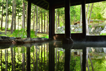 緑鮮やかな温泉露天風呂
