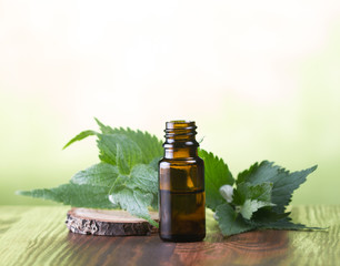 Melissa essential oil - a bottle with fresh melissa leaves