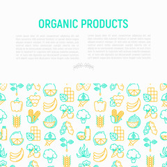Organic products concept with thin line icons: corn, peas, raw cafe, broccoli, grapes, sprouts, seaweed, watermelon, bananas, fresh juice. strawberry. Modern vector illustration for vegetable shop.