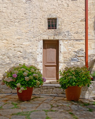 Obraz na płótnie Canvas mediterranean vintage house facade and flowerpots