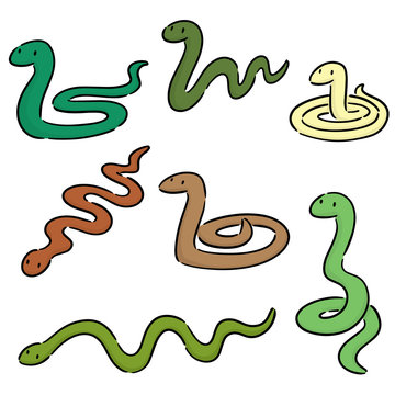 vector set of snakes