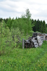 old wooden beams near the forest against the background of green trees and bushes