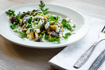 Mushrooms morel with sour cream sauce. 