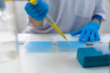 Close-up for hands of a researcher pipetting samples in micro plate; woman scientist in lab holding...