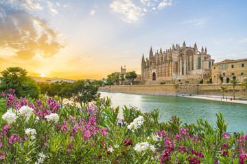Cathedral La Seu at sunet time, Palma de Mallorca islands, Spain © Balate Dorin