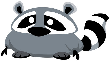 raccoon design