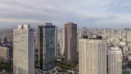 Fototapeta premium Beautiful aerial view of downtown, Tokyo, Japan