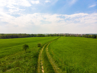 Fototapeta na wymiar beautiful green field with blue sky and white clouds