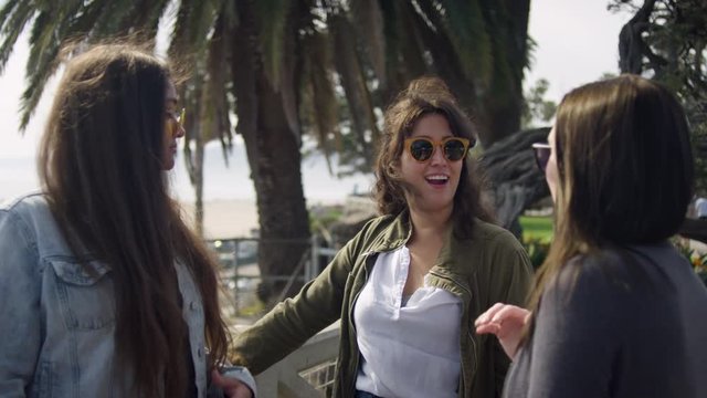 Group Of Girlfriends Chat And Tell Each Other Stories At The Beach, Santa Monica, CA - Shot On Red Scarlet-W Dragon In 4K, Slow Motion