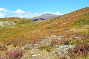 Russia, Republic of Altai, plateau Yoshtykyol in sunny day