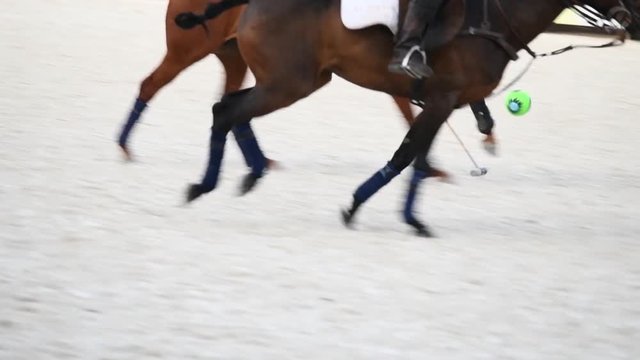 Low section horses and players during polo match with mallet and ball, slow motion