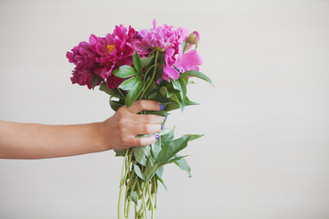  Beautiful bouquet of pink peonies. An armful of flowers in women's hands.