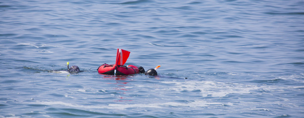 Plongeurs en apn&eacute;e