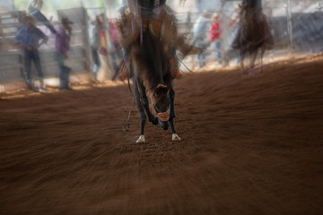 Bucking Horse With Rider At Indoor Country Rodeo