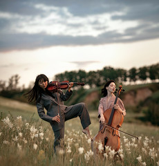 Female musical duet with violin and cello plays on flowering meadow against backdrop of picturesque landscape. © Stanislav