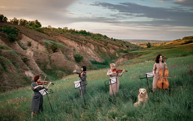 Female musical quartet with three violins and one cello plays on flowering meadow against backdrop of picturesque landscape next to sitting dog.