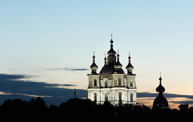 Fototapeta na wymiar ST PETERSBURG, RUSSIA: Smolny Cathedral in White Nights