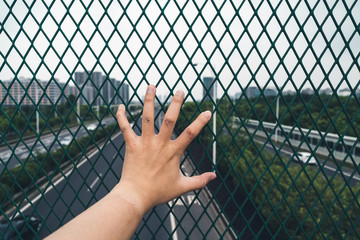 A cage that cannot be escaped, a reality that cannot be escaped