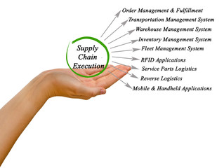 Diagram of Supply Chain Execution