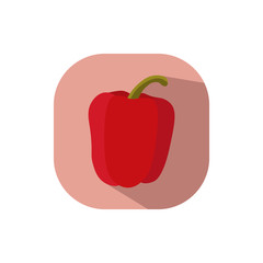 Flat design Red Pepper