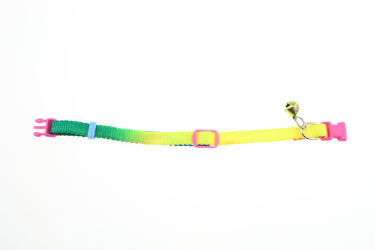 Dog collar with colorful isolated 