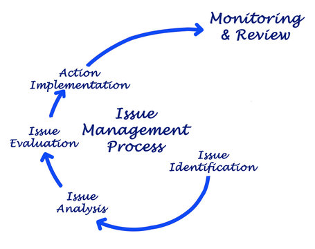 Issue Management Process.