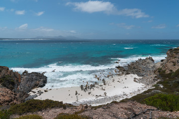 Fototapeta na wymiar Point Charles Bay, beautiful place within the Fitzgerald River National Park, Western Australia