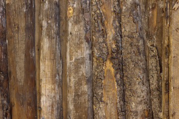 текстура из деревянных досок