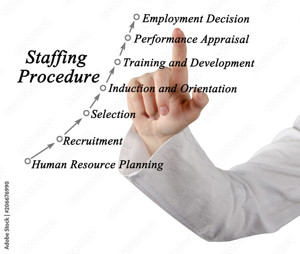 Wall mural  Components of Staffing Procedure