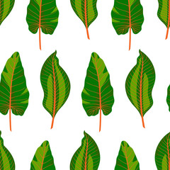 Obraz premium seamless green tropical leaves