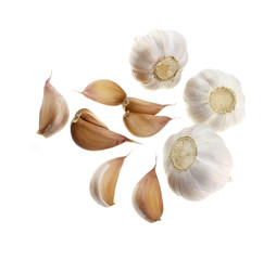 Garlic isolated 