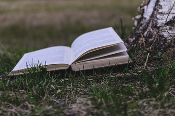 open book on the row near the tree