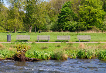 Obraz premium Wooden Benches In Forest