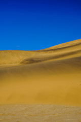 Fototapeta na wymiar Dune 7 golden sands