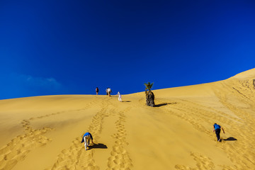 Tourist climb Dune 7 Namibia