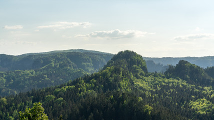 Fototapeta premium Bergige Landschaft im Elbsandsteingebirge