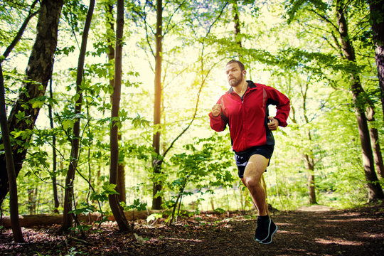 Fit Young Man Running Alone On A Forest Path