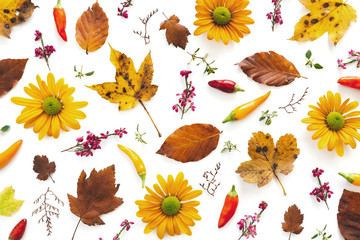 Autumn Arrangement With Colorful Leaves And Flowers On White Background