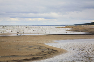 Gulf of Riga in Jurmala. Latvia