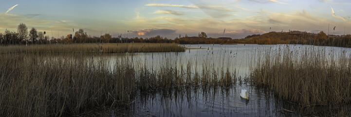 Attenborough Nature Reserve