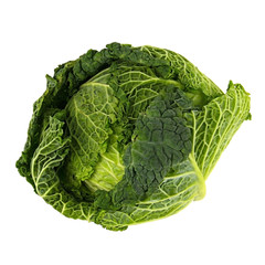 Fototapeta premium Cabbage on white
