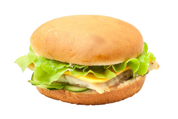 Tasty fish burger with lettuce salad