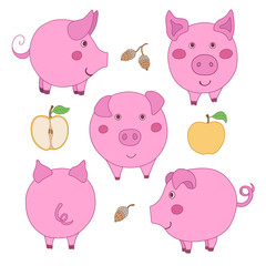 Set of cute cartoon pink pig: face, profile, back view. Sliced and whole apple. Acorn.