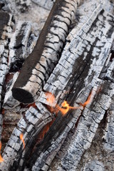 bonfire
