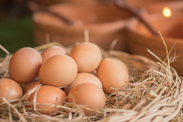 illustration of many eggs are in the basket.