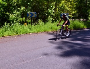 Fototapeta premium bike in the woods